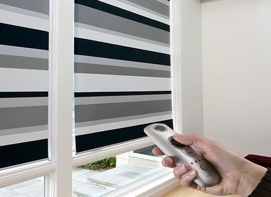 Regina Window Coverings Blinds