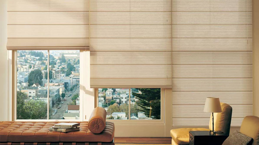 Hunter Douglas Roman Shades