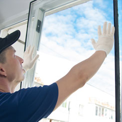 Window Glass Replacment