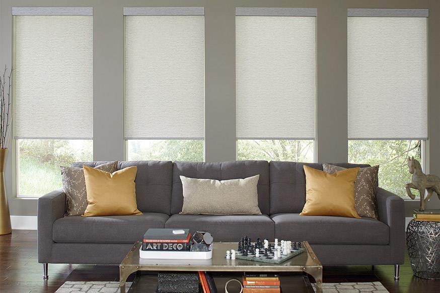 Window coverings, blinds, Regina, best, shades