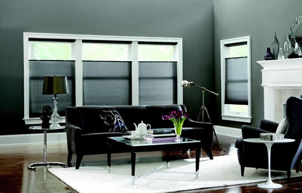 Regina Window Coverings Blinds